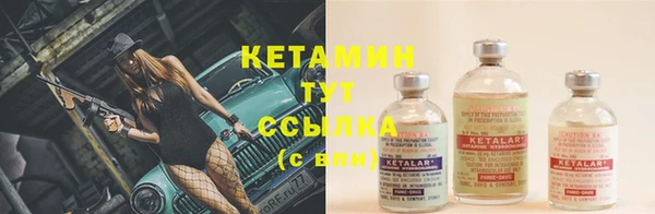 стаф Арсеньев