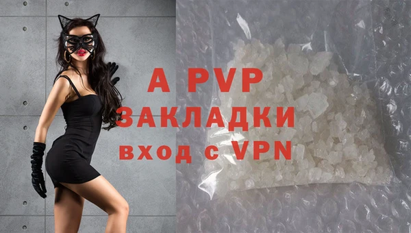 крисы Баксан