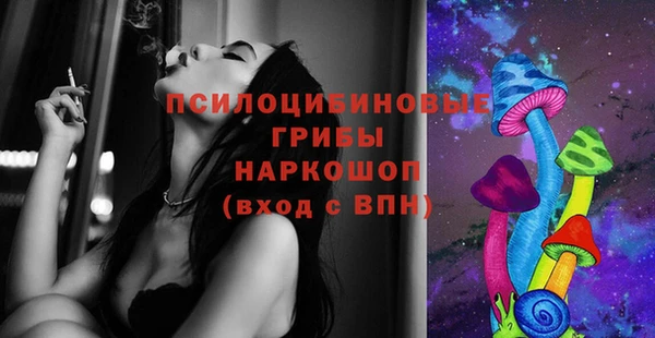 бошки Армянск
