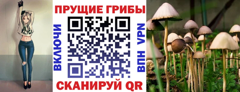 Галлюциногенные грибы мицелий  OMG   Томмот 